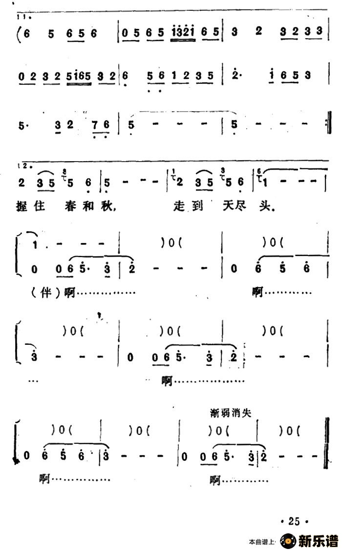 梅花雪最新曲谱董文华